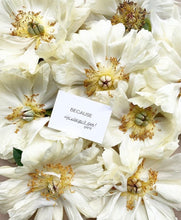 Load image into Gallery viewer, MINI MESSAGE CARD - ENGLISH VERSION - MIX