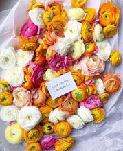 Load image into Gallery viewer, MINI MESSAGE CARD - DUTCH VERSION - MIX