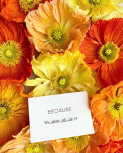 Load image into Gallery viewer, MINI MESSAGE CARD - DUTCH VERSION - MIX