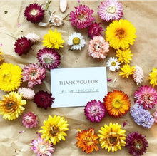 Load image into Gallery viewer, MINI MESSAGE CARD - ENGLISH VERSION - MIX