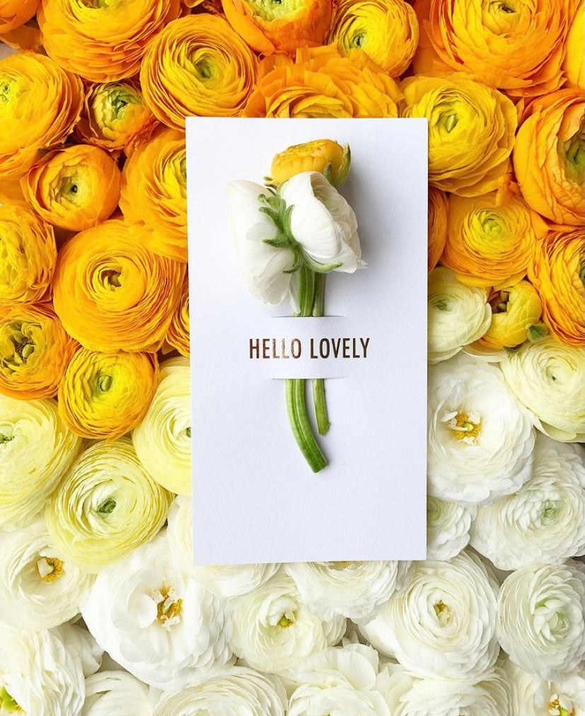 FLOWER NOTE  -  HELLO LOVELY